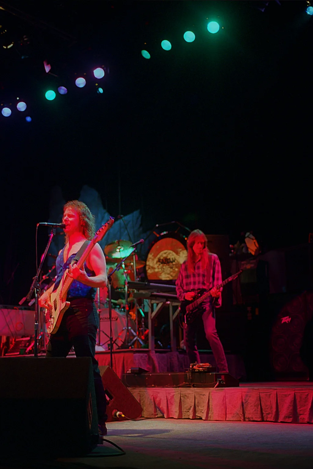 Tampa, FL · 1995-07-01